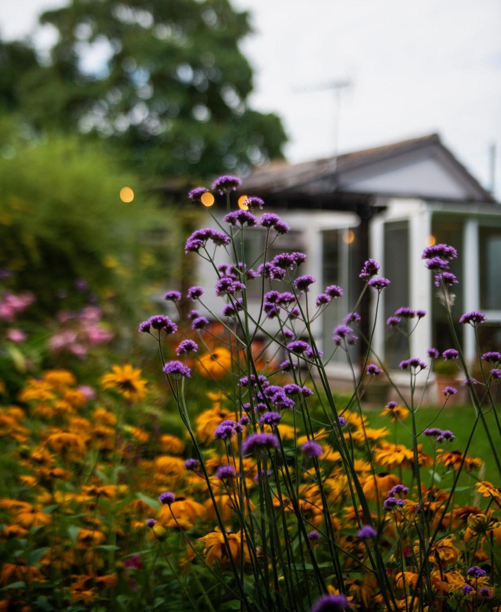 Peaceful, Country Setting In Suffolk, Near Coast Villa Halesworth Exterior photo